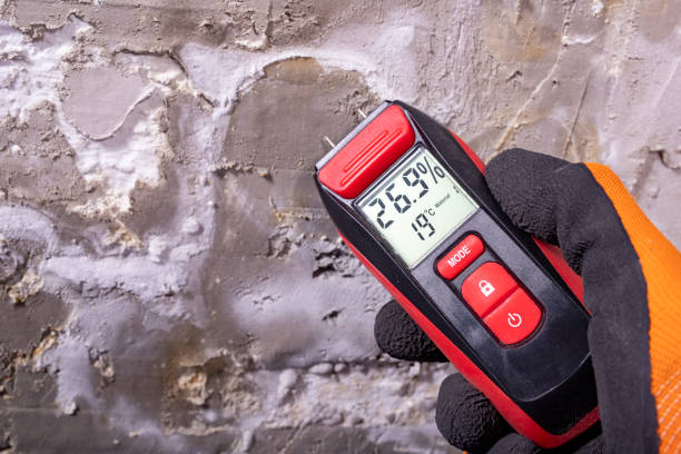 Best Office Mold Removal Services  in Ele, AR